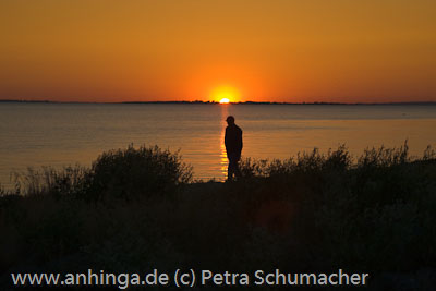 Sonnenuntergang auf Birkholm in der Dnischen Sdsee 7