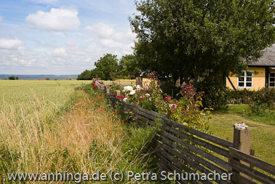 Drejoe in der Dnischen Sdsee 20