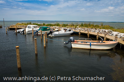 Drejoe-Nord in der Dnischen Sdsee 6