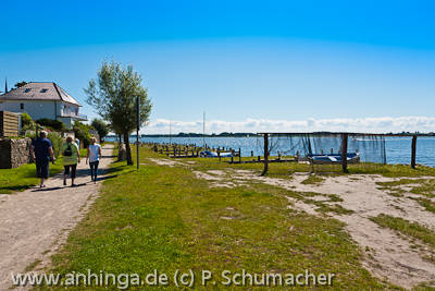 Maasholm an der Schlei