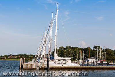 Marina Hlsen an der Schlei