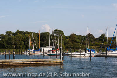 Marina Hlsen an der Schlei