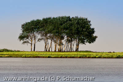 Bilder aus Schleimnde