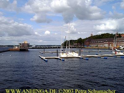 sonwik2